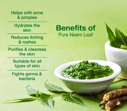 Herbal Rescue Bar-"Herbal Rescue – قدرتی جڑی بوٹیوں کا محافظ صابن، جو جلد کو کرے صاف، دانے کم کرے، اور ہر استعمال پر دے ٹھنڈک بھرا سکون!"